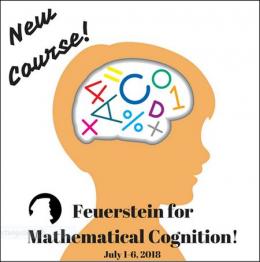 Feuerstein Institute